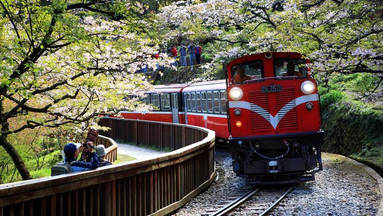 解禁大陆旅游团的压力给到了对岸